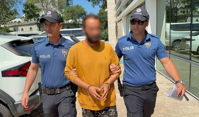Kediye tekme atan şahıs tutuklandı: 'Sinirliydim, pişmanım'