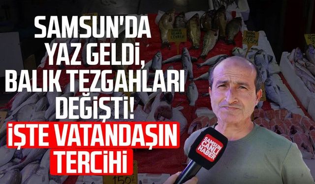 Samsun'da yaz geldi, balık tezgahları değişti! İşte vatandaşın tercihi