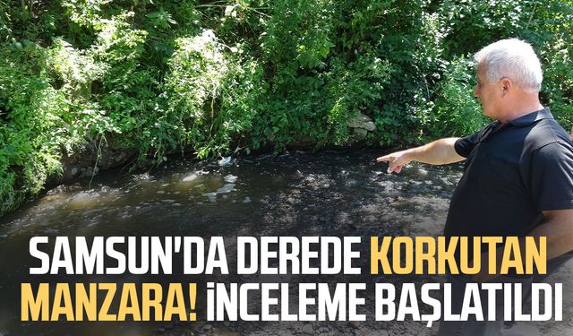 Samsun'da derede toplu balık ölümleri: Mahalleli kalıcı çözüm istiyor