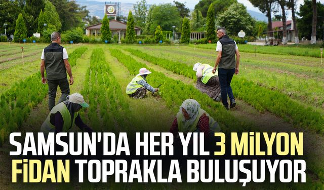 Samsun'dan 'Yeşil Vatan'a yılda 3 milyon fidan