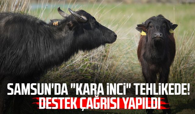 Türkiye'nin manda üssünde 'düşüş' endişesi