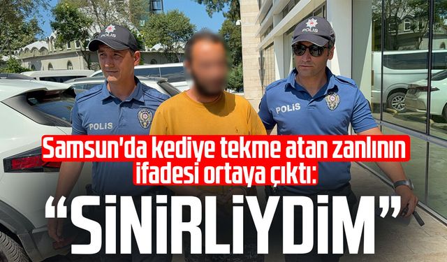 Kediye tekme atan şahıs tutuklandı: 'Sinirliydim, pişmanım'