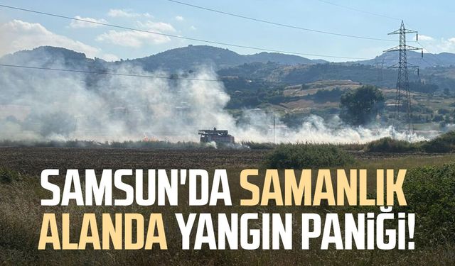 Samsun'da samanlık alanda çıkan yangın söndürüldü