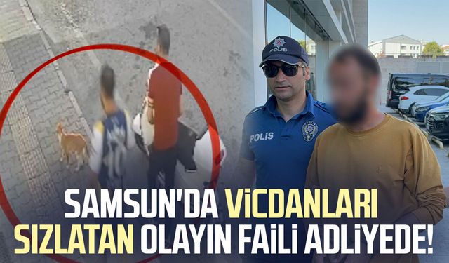Samsun'da kediye tekme atarken kameraya yansıyan şahıs yakalandı