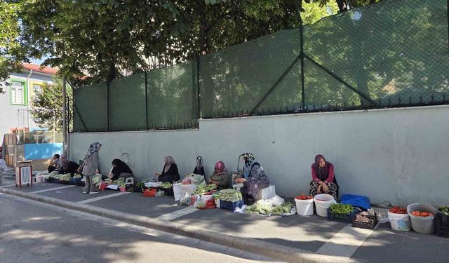 Boyu küçüldükçe fiyatı artıyor