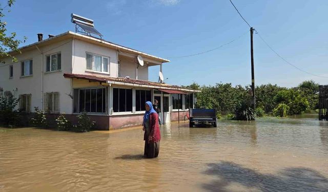 Çarşamba'yı sel aldı: Tarım alanları ve evler sular altında kaldı