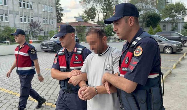 Kesilen ayva dalı tartışmasında amcasını öldüren gurbetçi: 'Amcam silahla bana ateş açınca ben de kendimi korumak için ateş ettim'