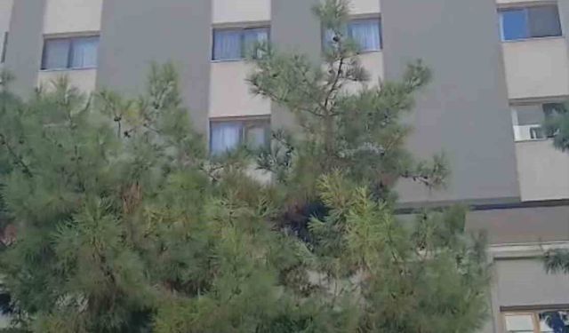 Öğretmenevi duvarından kopan beton parçaları korkuttu