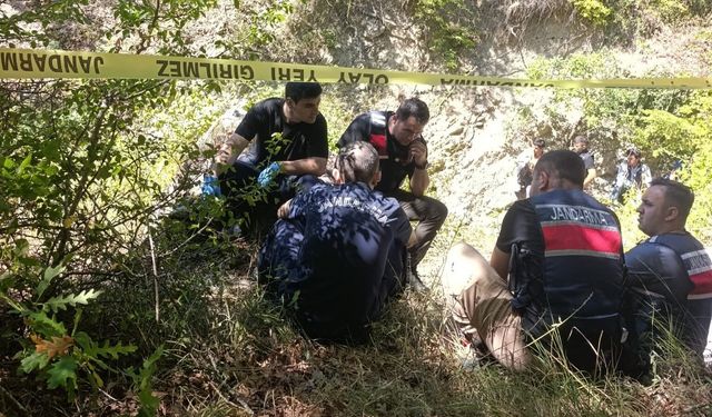 Samsun'da koyunlarını otlatmaya giden adam ormanda ölü bulundu