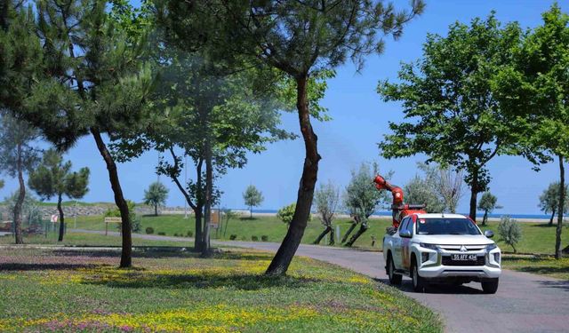 Samsun'da sivrisinek ve haşerelere karşı mücadele