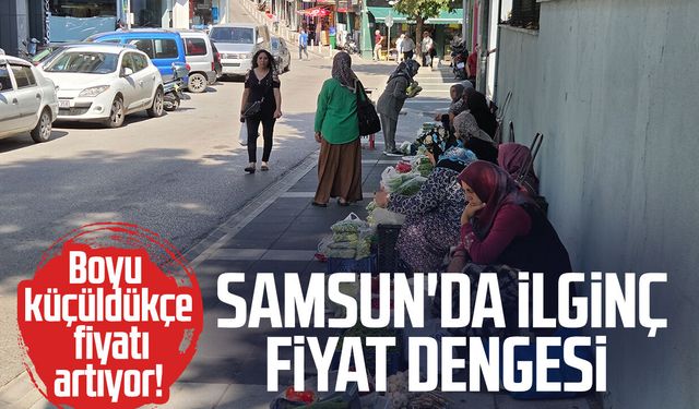 Samsun'da bamyanın boyu küçüldükçe fiyatı artıyor