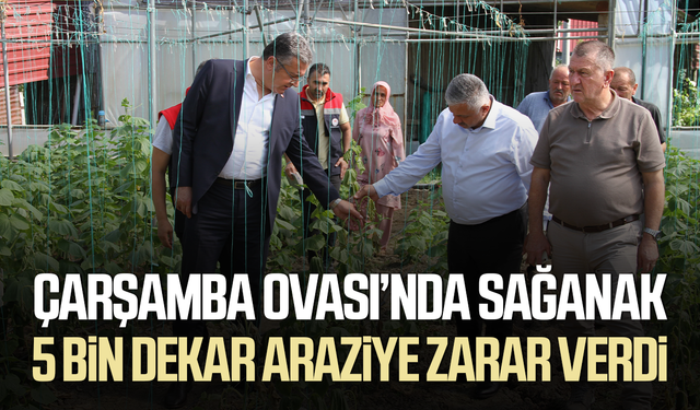 Çarşamba Ovası'nda sağanağın bilançosu ağır: 30 mahallede 5 bin dekar zarar