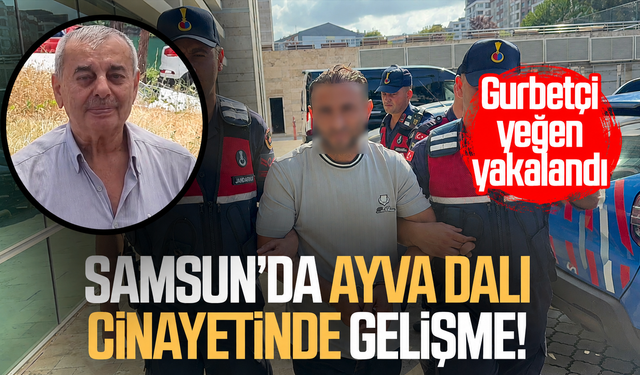 Ayva dalını kestiği için amcasını öldüren gurbetçi yakalandı