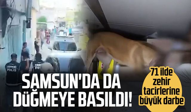 Samsun'un da aralarında olduğu 71 ilde dev zehir operasyonu!