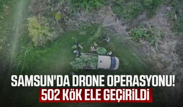 Samsun'da tarladaki sır drone ile çözüldü! 1 gözaltı