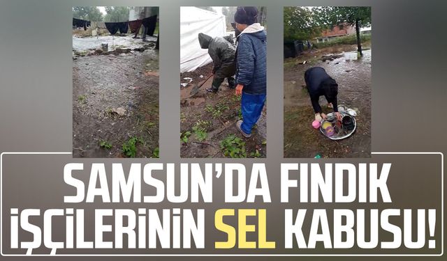 Samsun’da fındık işçilerinin sel kabusu!