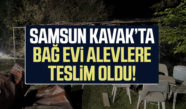 Konteyner ev alevlere teslim oldu