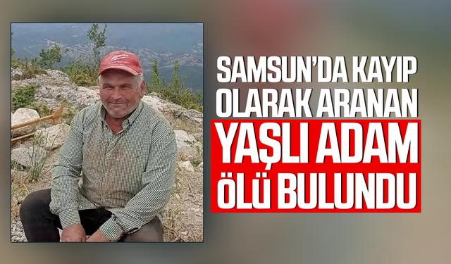 Samsun'da koyunlarını otlatmaya giden adam ormanda ölü bulundu