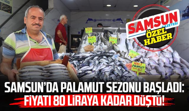 Samsun’da palamut sezonu başladı: Fiyatı 80 liraya kadar düştü!