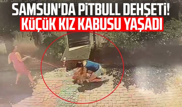 Samsun'da pitbull dehşeti