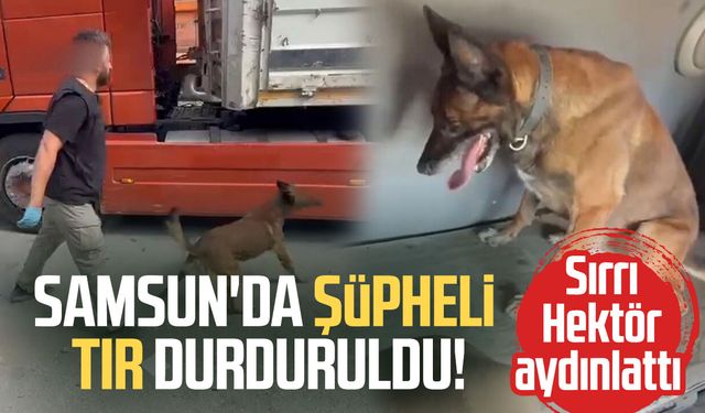 Samsun'da tırın gizli bölmesinde 7 kilo yasaklı madde ele geçirildi