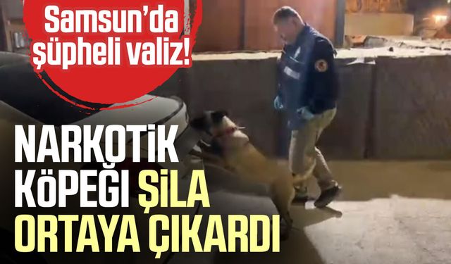 Samsun’da şüpheli valiz! Narkotik köpeği Şila ortaya çıkardı