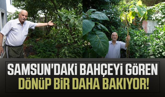 Üç kıta ve 50 ülkeden topladığı tohumlarla 'dünya bahçesi' kurdu