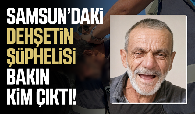Samsun'daki vahşi cinayette katilin suç kaydı kabarık çıktı