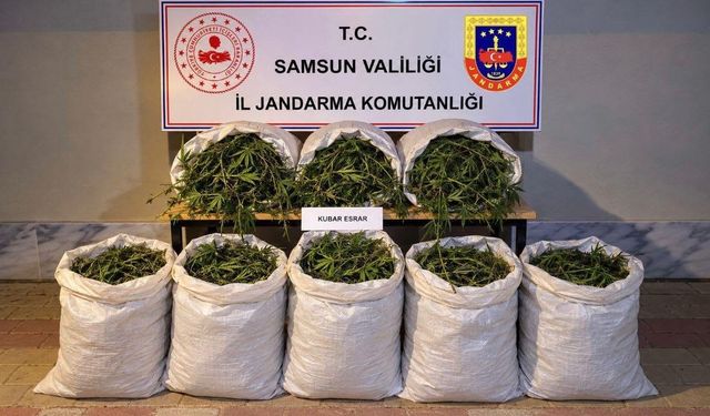 Bafra'da 63 kilo kubar esrar ele geçirildi
