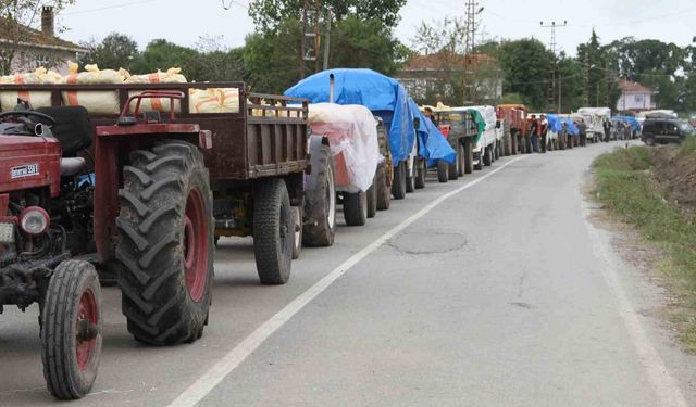 Fındık üreticisine uyarı: 'Ürününüzü ayıklayın'