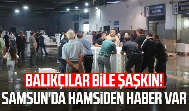 Karadeniz'de çifte bereket: Hem palamut hem hamsi bolluğu