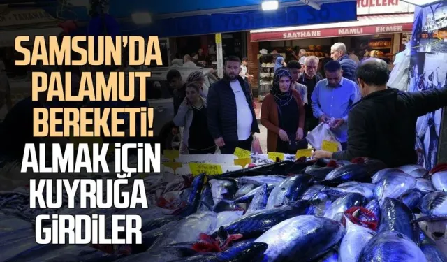 Samsun’da palamut bereketi! Almak için kuyruğa girdiler
