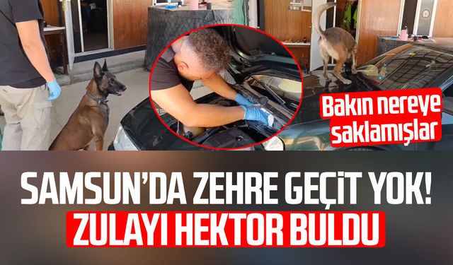 Samsun’da zehir operasyonu! Zulayı Hektor buldu