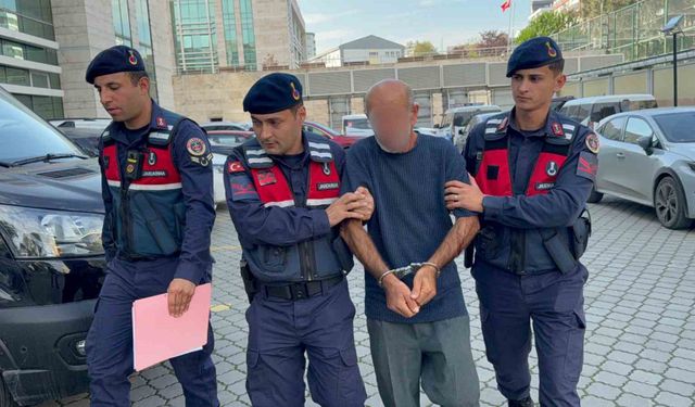 Orman envanterlerini çalarken suçüstü yakalandı