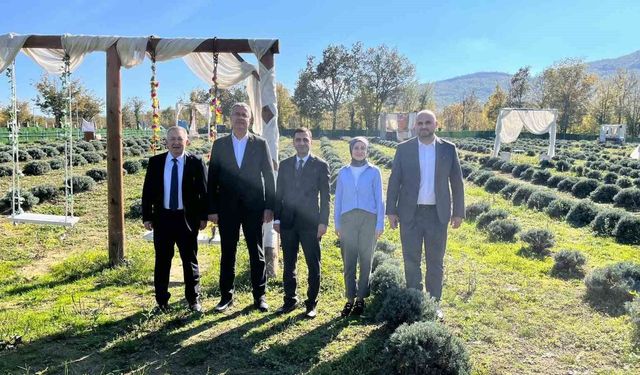 Samsun'da kadın üretici lavanta yetiştiriciliğiyle tarımsal çeşitliliğe katkı sağlıyor