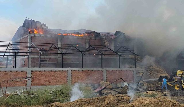 Samsun'da kaynak kıvılcımı samanlığı yaktı
