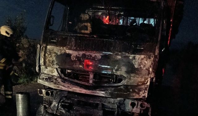 Vezirköprü'de odun yüklü kamyonda yangın çıktı