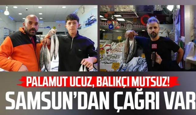 Palamut ucuz, balıkçı mutsuz! Samsun’da kota çağrısı