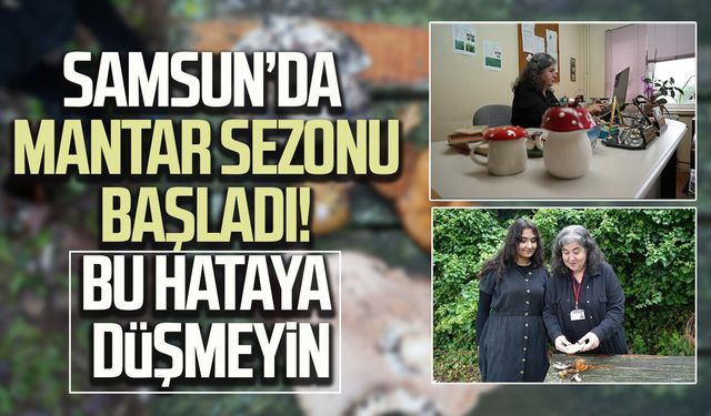 Samsun'da mantar sezonu başladı! Bu hataya düşmeyin