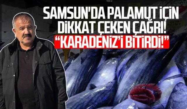 Karadeniz'de palamut alarmı: 'Önüne ne gelirse yiyor, bir an önce hepsinin tutulması gerekiyor'