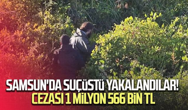 Gökdoğan avcıları suçüstü yakalandı: Toplam 1 milyon 566 bin TL ceza uygulandı