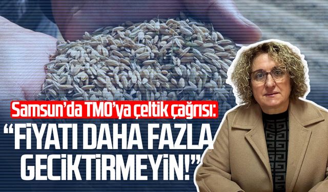Samsun'da TMO’ya çeltik çağrısı: "Fiyatı daha fazla geciktirmeyin!"