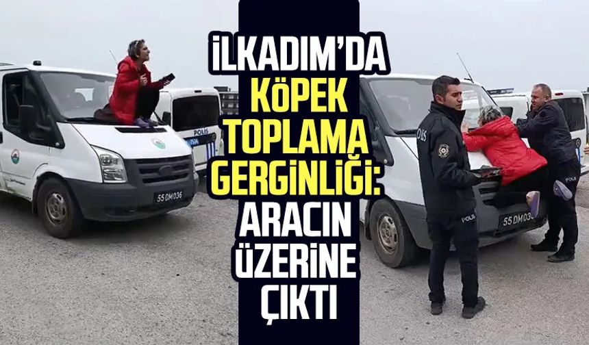 İlkadım’da köpek toplama gerginliği: Aracın üzerine çıktı