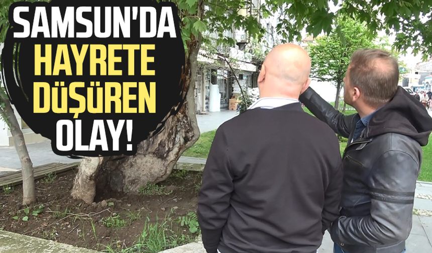 Samsun'da pastanede şok olay! Kısa sürede yakalandı