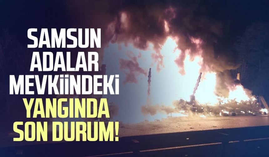 Samsun Adalar mevkiindeki yangında son durum!