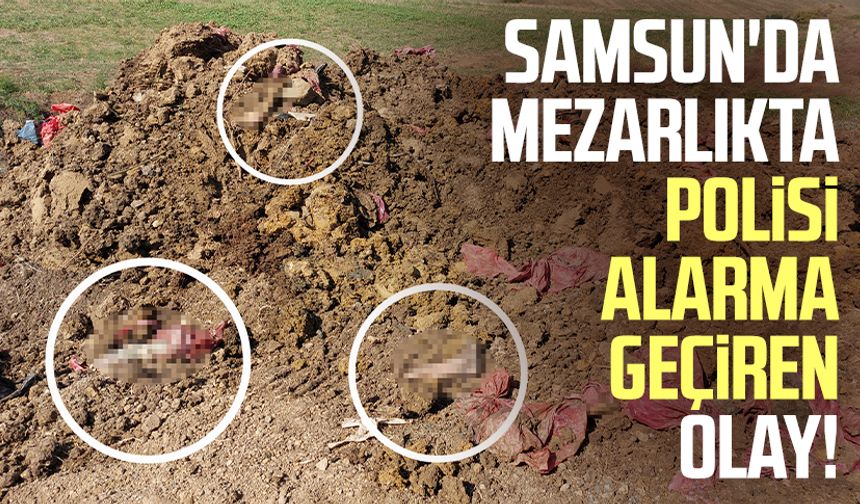 Samsun'da mezarlıkta polisi alarma geçiren olay!