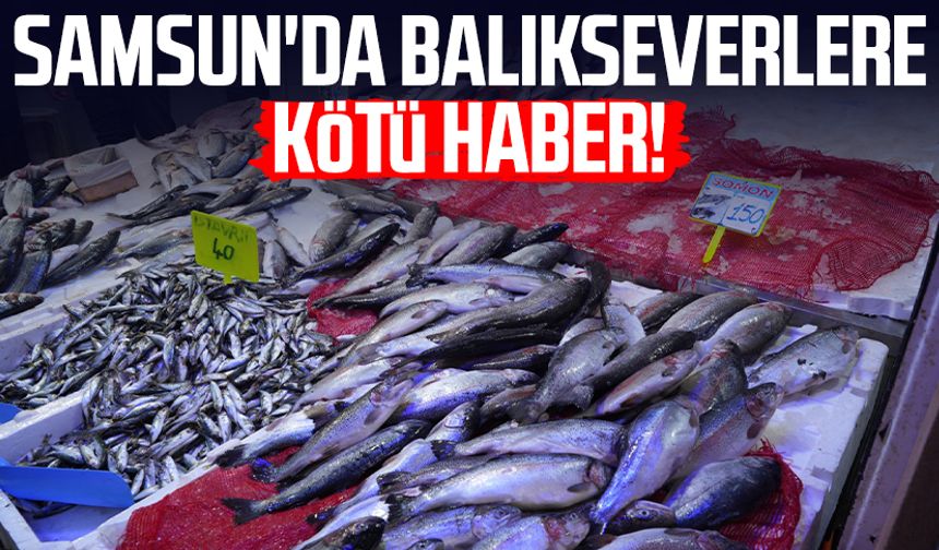 Samsun'da balıkseverlere kötü haber!