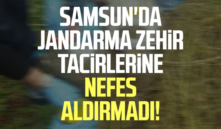 Samsun'da jandarma zehir tacirlerine nefes aldırmadı!