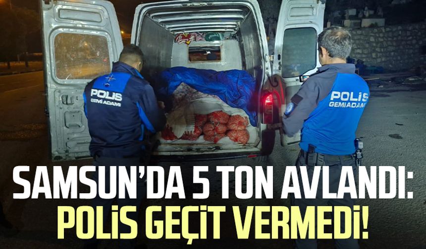 Samsun'da kaçak avlanan 5 ton midye ele geçirildi!