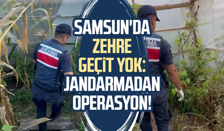 Samsun'da zehre geçit yok: Jandarmadan operasyon!